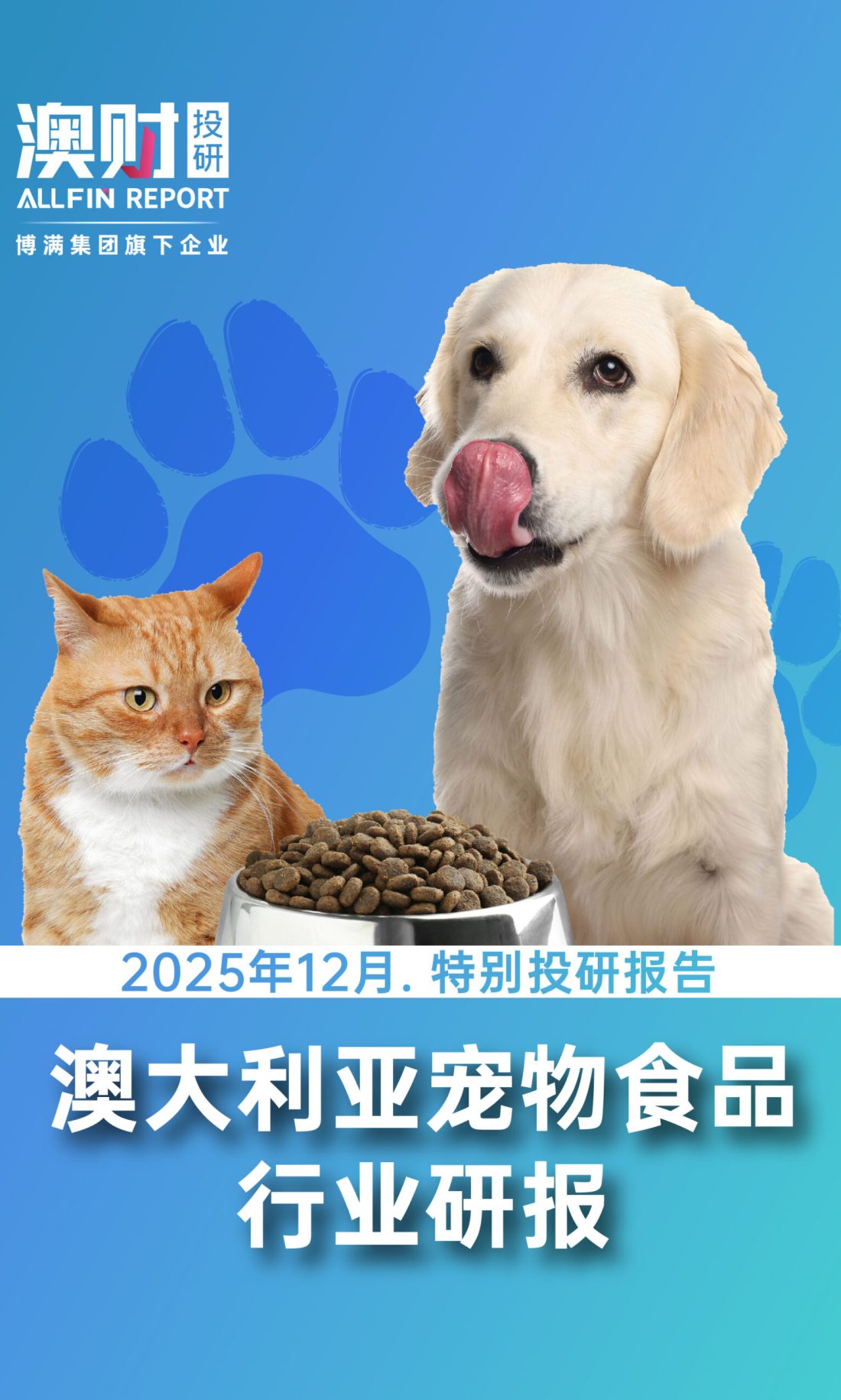 20251125 宠物食品 竖版封面图-01(1)
